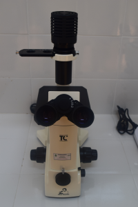 IDB-BIO.B-04 Inverted Microscope