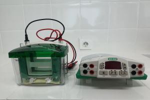 IDB-BIO.C-03 Electrophoresis Vertical