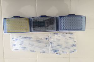 IDB-BIO.C-06 Micropipette